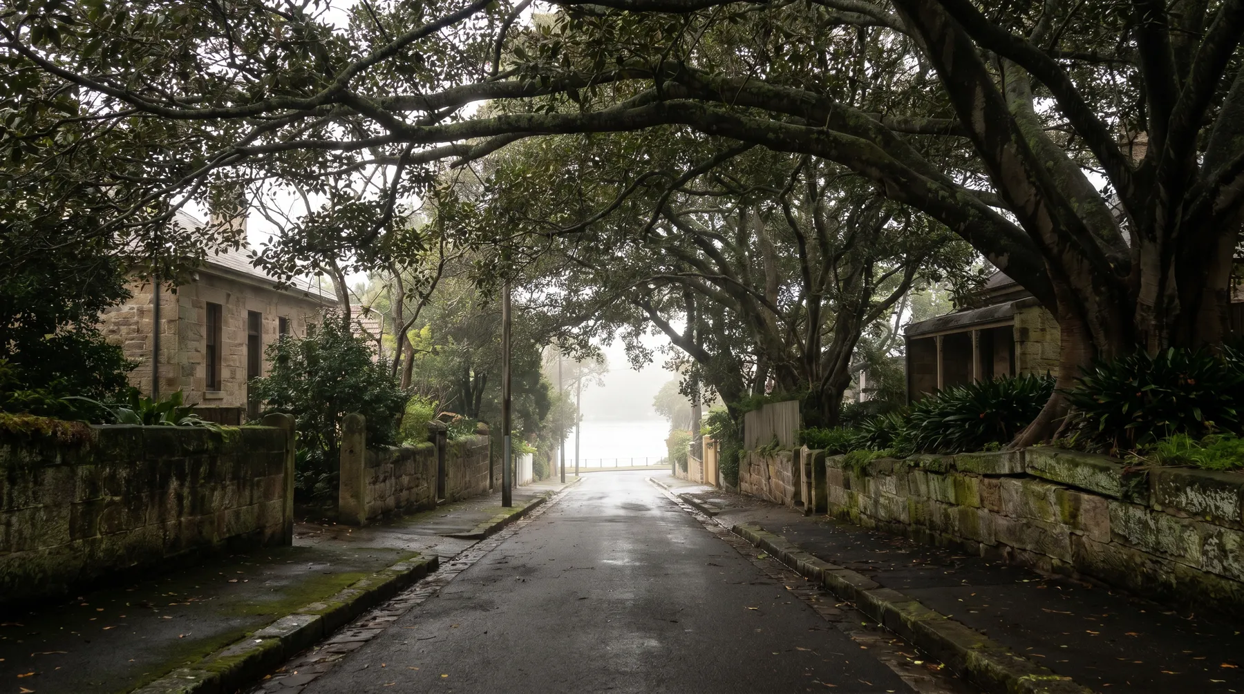 A fig-arched street in Hunters Hill with sandstone walls and river light at the far end