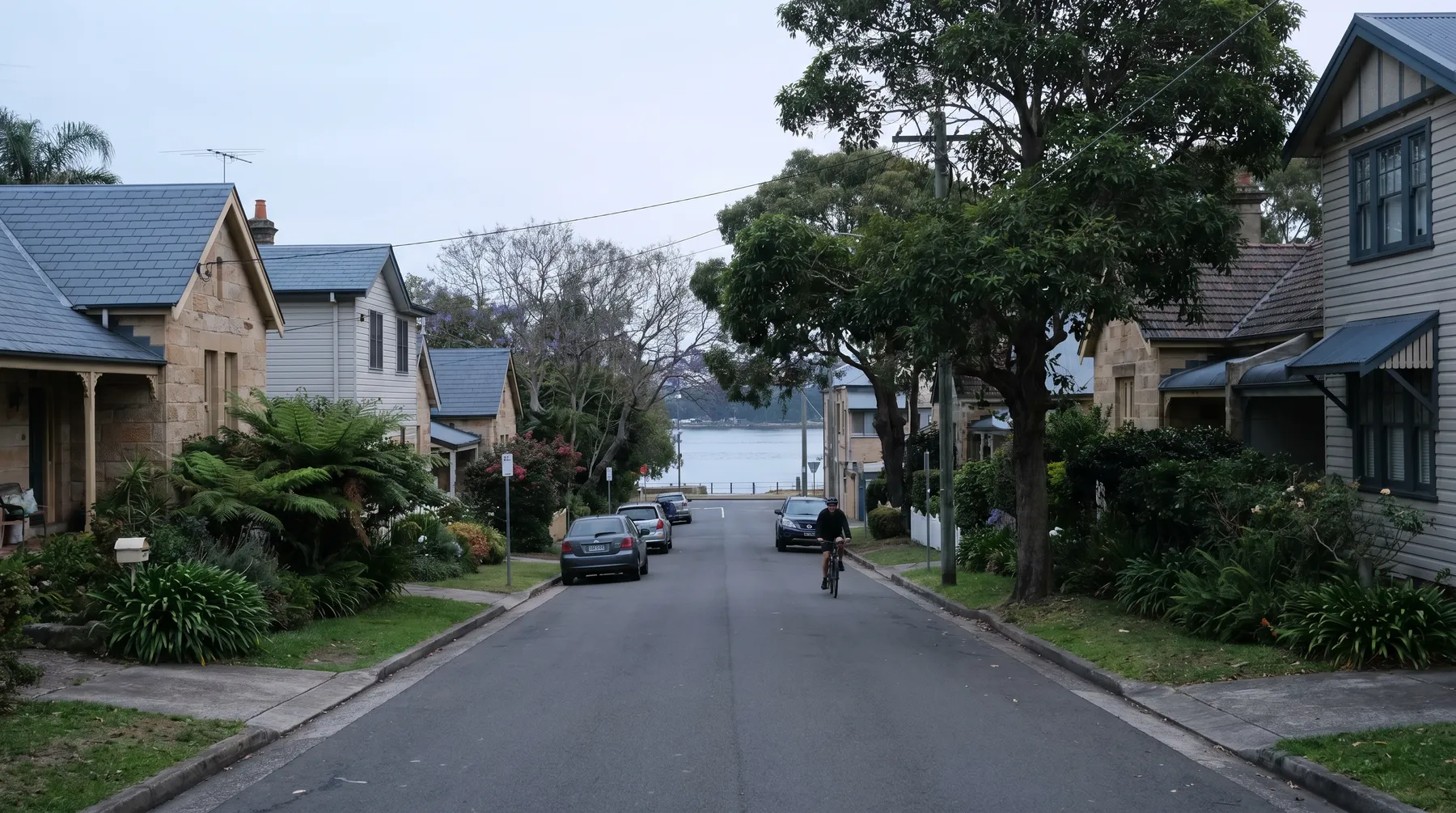 A quiet Henley street sloping toward the Parramatta River, established houses and gardens either side